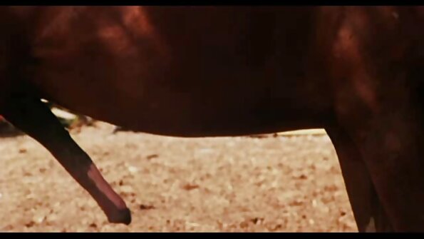 एक लाल बालों वाली है कि प्यार करता है दिखा रहा है बंद सेक्सी फिल्म फुल एचडी में हो रही है गड़बड़ में उसके योनी